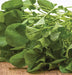 Vibrant green watercress, a healthy leafy vegetable, on a rustic wooden board.