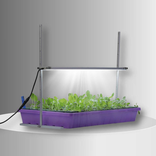 Adjustable LED grow light system with vibrant green seedlings in a purple plant propagation tray. Ideal for indoor starts.