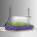 Adjustable LED grow light system with vibrant green seedlings in a purple plant propagation tray. Ideal for indoor starts.