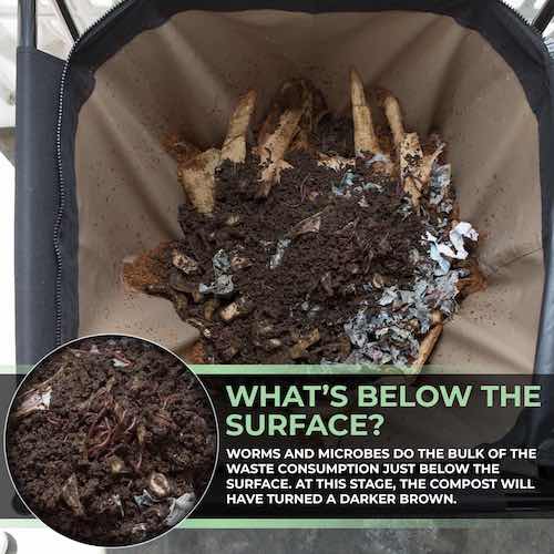 Active vermicompost bin showing decomposing organic waste and a close-up of dark, worm-rich compost.