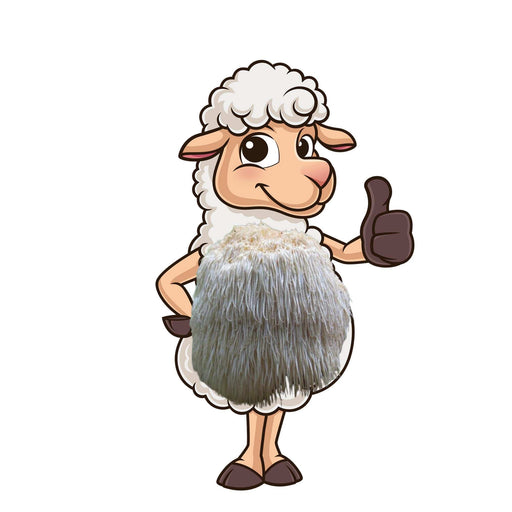 Cartoon sheep with a fluffy Lions Mane mushroom body giving a thumbs up. Natural brain health and wellness.