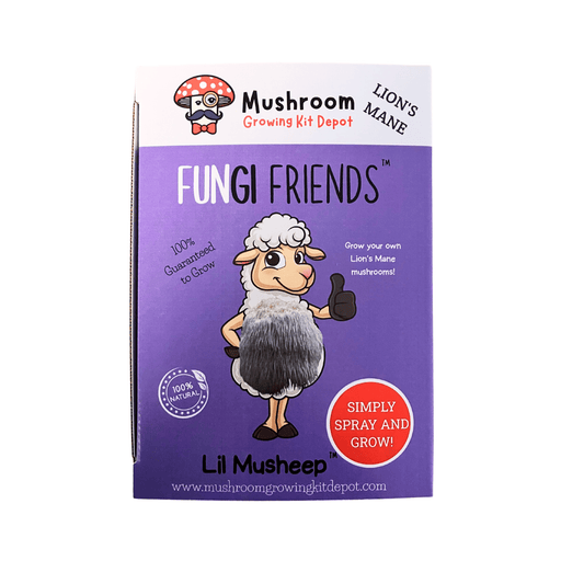 Fungi Friends Lil Musheep Lion's Mane mushroom grow kit. Purple box, cartoon sheep, "Simply Spray & Grow".