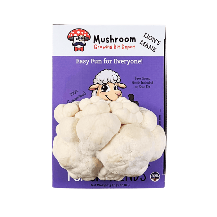 DIY Lion's Mane mushroom growing kit by Mushroom Growing Kit Depot. Cultivate fresh gourmet mushrooms, USA-grown, 5lb.