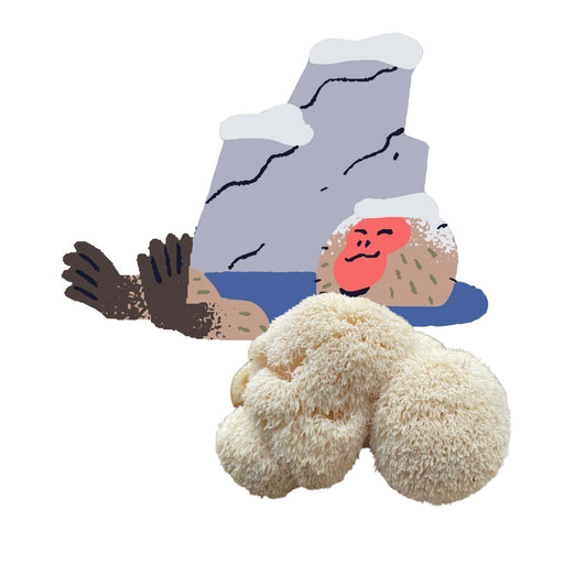 Lion's Mane mushroom foreground, Japanese snow monkey relaxing in a hot spring with snowy mountains.