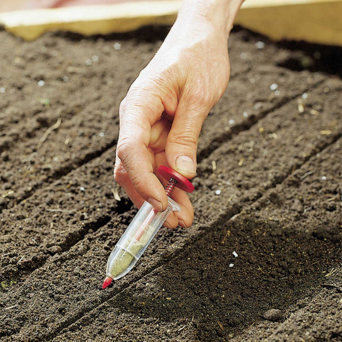 Hand sowing green seeds with a clear seed dispenser into dark garden soil with planting rows. Gardening, seed planting.