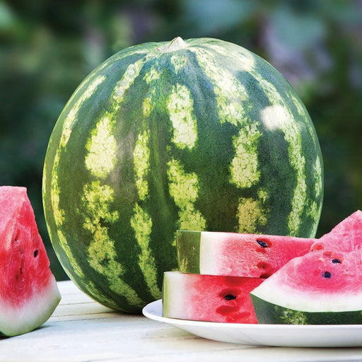 Whole green striped watermelon with vibrant red slices and wedges on a plate. Fresh, juicy summer fruit.