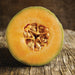 Fresh cantaloupe half, vibrant orange flesh, green rind, seeds, rustic wood background. Healthy summer fruit.