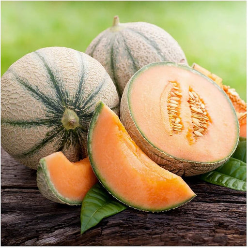 Fresh cantaloupe melons, whole and sliced, showing sweet orange flesh and seeds on a rustic wooden surface.