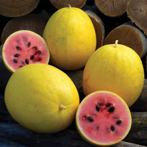 Fresh yellow watermelons, whole and sliced, displaying vibrant pink flesh with black seeds on dark wood.