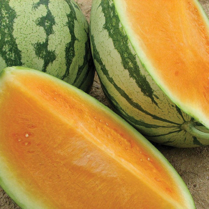 Fresh yellow watermelon, whole and cut, revealing vibrant orange-yellow flesh, green striped rind, and few white seeds.