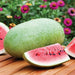 Oblong green watermelon, fresh red slices with seeds on wood. Sweet summer fruit harvest with garden flowers.