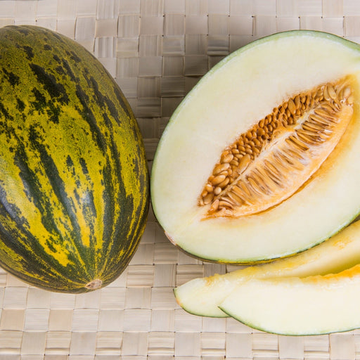 Whole striped Piel de Sapo melon, half cut showing white flesh, orange seeds, and slices. Fresh, ripe fruit.