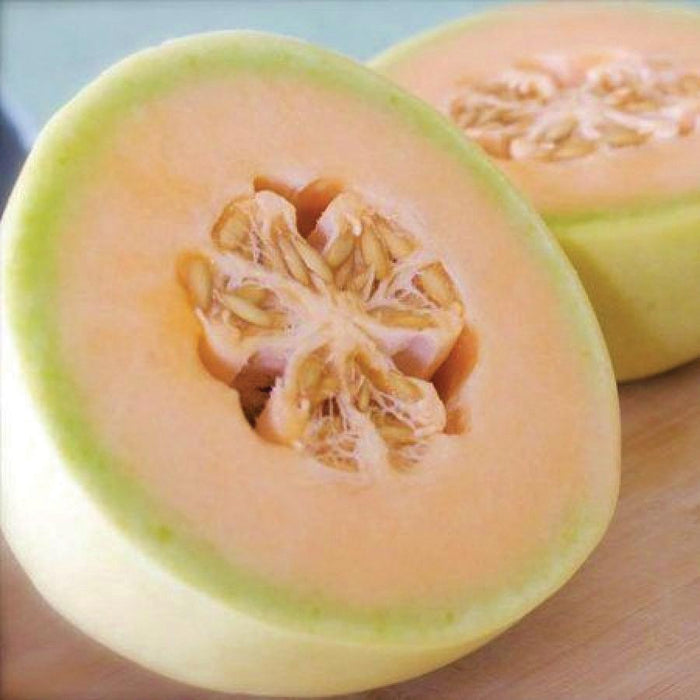 Freshly cut cantaloupe melon halves with bright orange flesh and seeds. Sweet, ripe, healthy summer fruit.