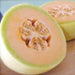 Freshly cut cantaloupe melon halves with bright orange flesh and seeds. Sweet, ripe, healthy summer fruit.