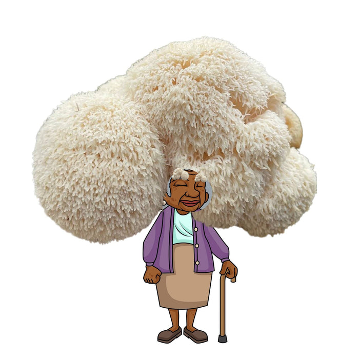 Cartoon grandma with Lion's Mane mushroom hair. Smiling elderly woman, cane, white Hericium erinaceus fungi.