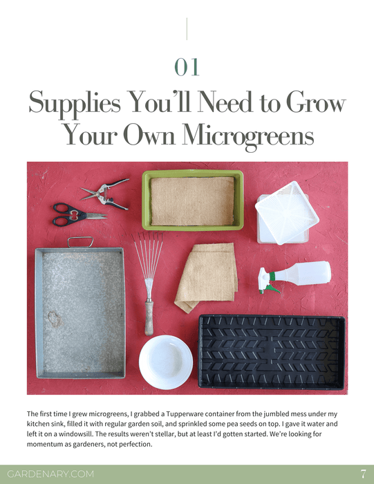 Essential microgreen growing kit: pruners, rake, various seed trays, grow mats, spray bottle, and containers.