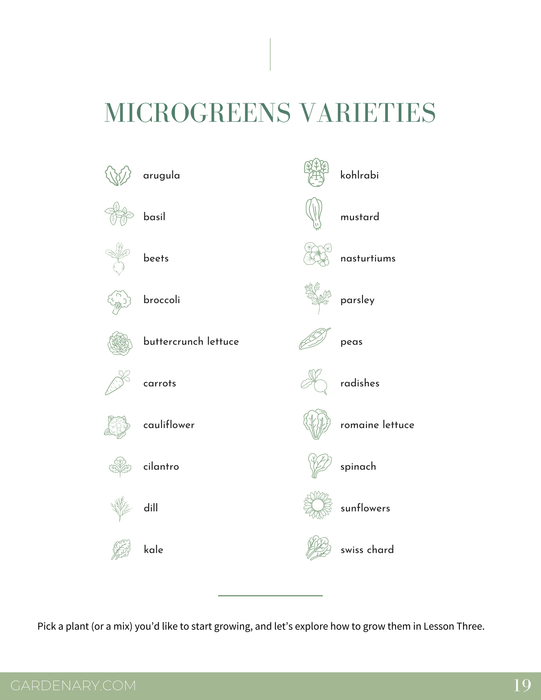 Microgreens varieties list: leafy greens, herbs, vegetables, and unique plants for home gardening.