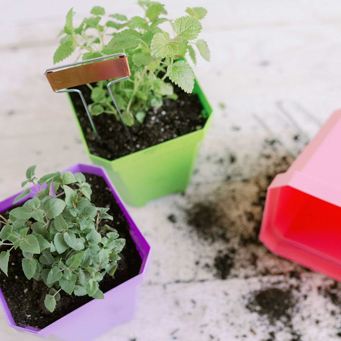 5" Reusable Seed Starting Pots with Insert