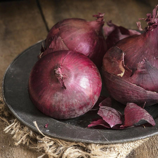 Vibrant red onions on a rustic dark plate with loose skins, burlap, and wood. Fresh organic vegetables for cooking.