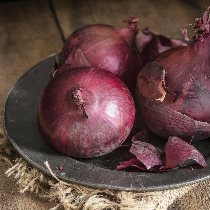Vibrant red onions on a rustic dark plate with loose skins, burlap, and wood. Fresh organic vegetables for cooking.