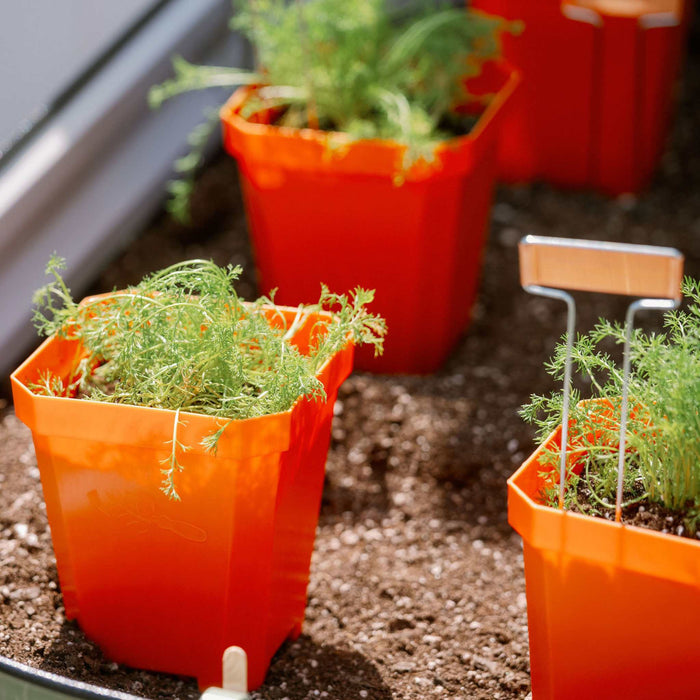 5" Reusable Seed Starting Pots with Insert