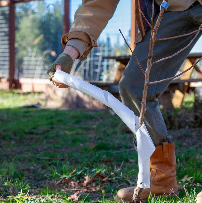 Hands applying white spiral tree wrap to a young tree trunk, protecting saplings from pests and sunscald.