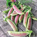 Fresh purple and green speckled sugar snap pea pods on rustic wood with leaves and a flower.