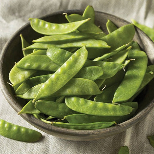 Crisp, healthy green snow peas in a rustic wooden bowl, fresh garden produce.