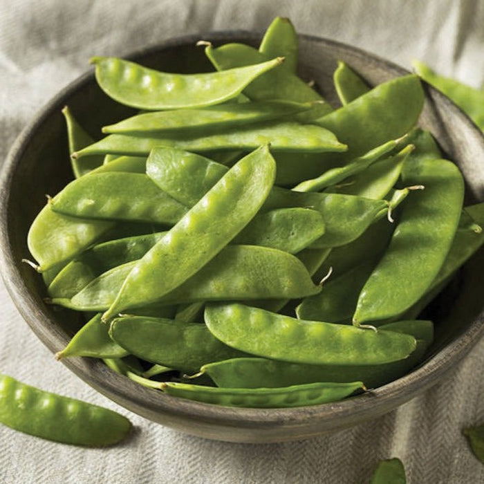 Crisp, healthy green snow peas in a rustic wooden bowl, fresh garden produce.
