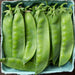 Fresh green snap peas in a light blue pulp carton. Healthy, organic market produce.