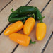 Fresh green jalapeños and bright orange mini sweet peppers on a rustic wooden table.