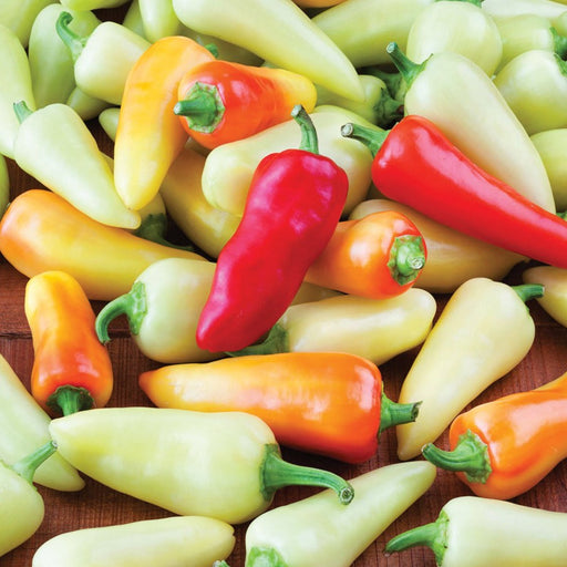 Vibrant red, orange, yellow, and pale green sweet peppers scattered on wood.