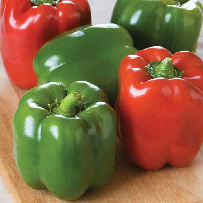 Fresh red and green bell peppers on a wooden board. Vibrant, healthy vegetables for cooking and salads.