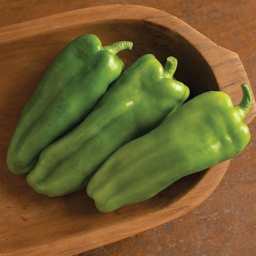 Three long green peppers in a wooden bowl. Fresh sweet peppers, garden produce, healthy vegetables.