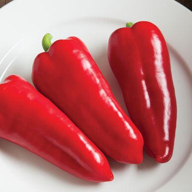 Three fresh red sweet peppers on a white plate. Ripe bell peppers for healthy cooking and salads.