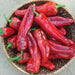 Woven basket brimming with fresh, glossy red sweet peppers and long red peppers, healthy harvest.