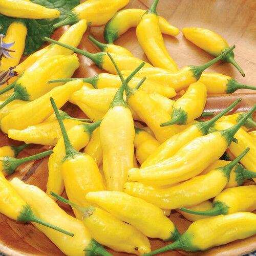 Bright yellow hot chili peppers with green stems. Fresh, vibrant, and perfect for adding spice to dishes.