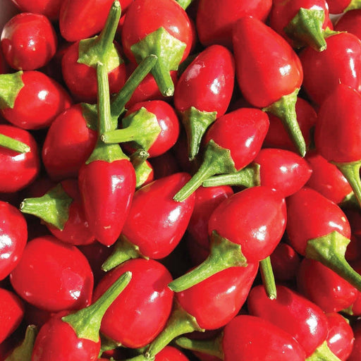 Fresh, vibrant red hot chili peppers with green stems. Perfect for cooking spicy dishes.