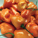 Vibrant orange Habanero peppers with green stems. Fresh, spicy chili peppers.