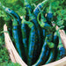 Glossy dark green chili peppers in a wooden harvest basket, surrounded by fresh garden herbs.