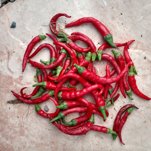 Vibrant red chili peppers with green stems scattered on a light, textured surface. Fresh, spicy cooking ingredients.