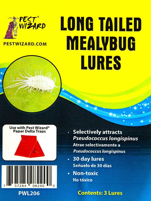 Pest Wizard Long Tailed Mealybug Lures. White mealybug pest control. Non-toxic, 30-day Pseudococcus longispinus insect lures.