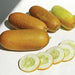 Fresh golden and yellow cucumbers, whole and sliced. Healthy, organic garden vegetables.