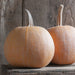 Two orange speckled heirloom pumpkins on a rustic wooden crate. Autumn harvest decor.