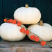 Three stacked white pumpkins with a vine of orange Chinese lanterns on a rustic wooden surface. Autumn harvest decor.