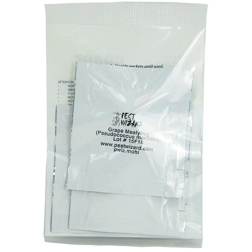Pest Wizard biological control packets for Grape Mealybug (Pseudococcus maritimus) pest management.