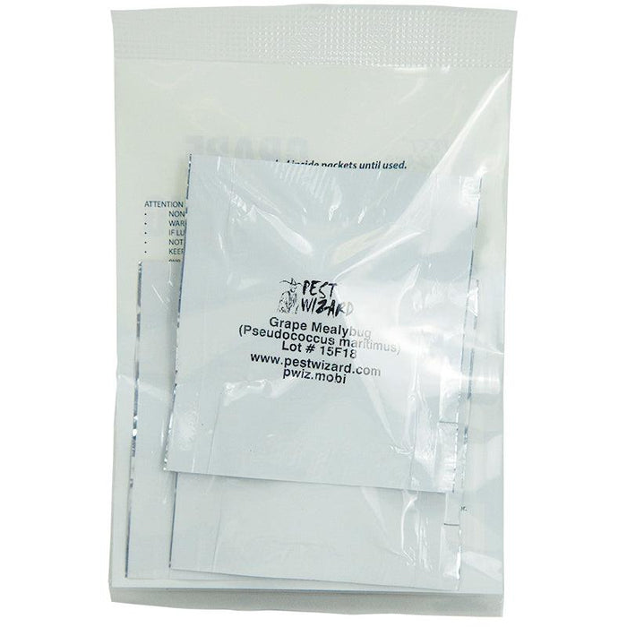 Pest Wizard biological control packets for Grape Mealybug (Pseudococcus maritimus) pest management.