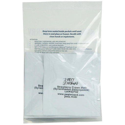 Pest Wizard Strawberry Crown Moth pheromone lure and adhesive trap packet, pest control.