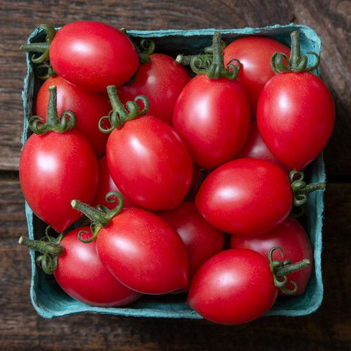 Ripe red grape tomatoes with green stems in a blue carton. Fresh, healthy produce on rustic wood.