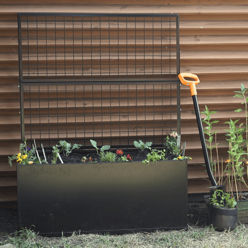 Black metal raised garden bed with trellis, planted with young herbs, flowers, and kale. Shovel beside wood fence.